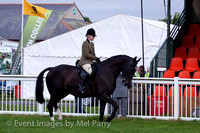 02: Main Ring event 2, Ridden Hunters, more Coloureds Ridden and In-Hand