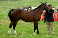 Llanddona Beaumaris Horse Show 2012, 25th August