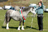 sioe nefyn show 2013 horse and pony overall welsh championships ring 3 and 4