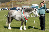 sioe nefyn show 2013 horse and pony overall welsh championships ring 3 and 4