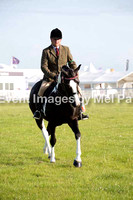anglesey show horse photos photography equine colored