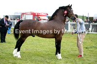 Anglesey Show 2014